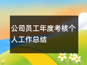 公司員工年度考核個人工作總結(jié)