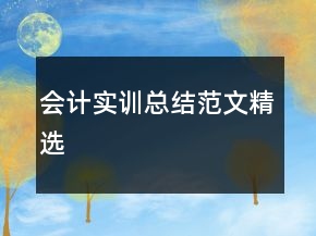 會計實訓(xùn)總結(jié)范文精選