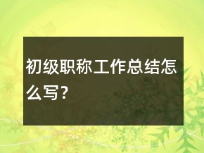 初級職稱工作總結怎么寫？