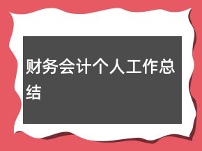 財(cái)務(wù)會(huì)計(jì)個(gè)人工作總結(jié)