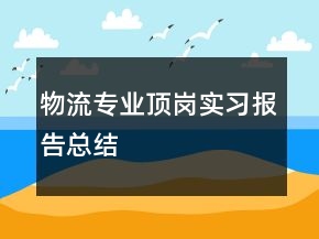 物流專業(yè)頂崗實習報告總結