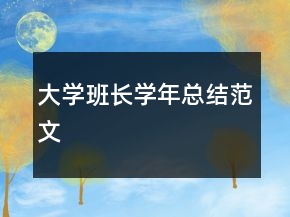 大學(xué)班長學(xué)年總結(jié)范文