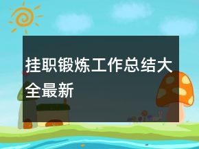 掛職鍛煉工作總結(jié)大全最新