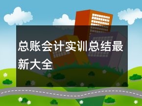 總賬會(huì)計(jì)實(shí)訓(xùn)總結(jié)最新大全