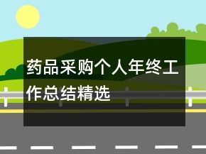 藥品采購(gòu)個(gè)人年終工作總結(jié)精選