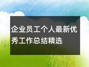 企業(yè)員工個人最新優(yōu)秀工作總結精選