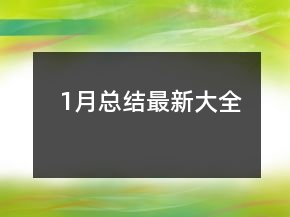 1月總結最新大全