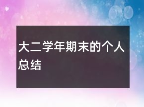 大二學(xué)年期末的個(gè)人總結(jié)