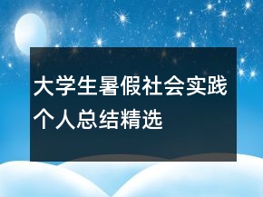 大學(xué)生暑假社會(huì)實(shí)踐個(gè)人總結(jié)精選