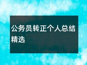 公務員轉(zhuǎn)正個人總結(jié)精選