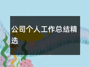 公司個人工作總結精選