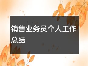 銷售業(yè)務(wù)員個人工作總結(jié)