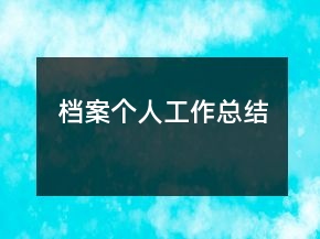 檔案個人工作總結(jié)