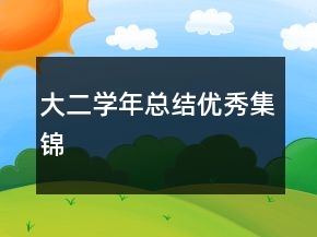 大二學(xué)年總結(jié)優(yōu)秀集錦