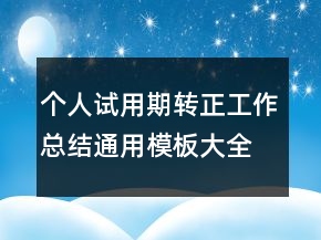 個人試用期轉(zhuǎn)正工作總結(jié)通用模板大全