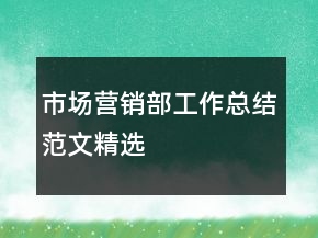 市場營銷部工作總結(jié)范文精選