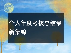 個(gè)人年度考核總結(jié)最新集錦