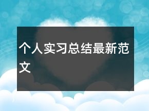個(gè)人實(shí)習(xí)總結(jié)最新范文