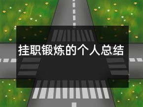 掛職鍛煉的個(gè)人總結(jié)