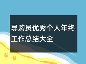 導(dǎo)購員優(yōu)秀個人年終工作總結(jié)大全