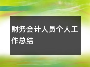 財(cái)務(wù)會(huì)計(jì)人員個(gè)人工作總結(jié)
