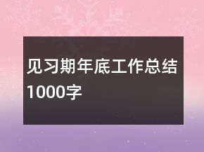 見(jiàn)習(xí)期年底工作總結(jié)1000字
