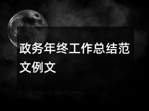 政務(wù)年終工作總結(jié)范文例文