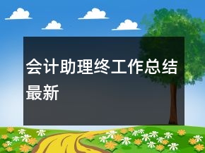 會(huì)計(jì)助理終工作總結(jié)最新