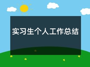 實(shí)習(xí)生個人工作總結(jié)