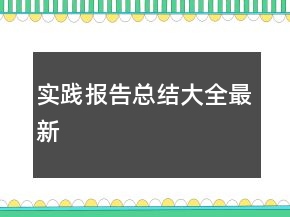 實踐報告總結大全最新