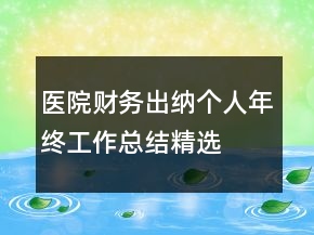 醫(yī)院財務出納個人年終工作總結(jié)精選
