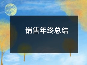 銷售年終總結(jié)