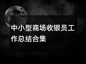 中小型商場(chǎng)收銀員工作總結(jié)合集