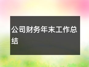 公司財(cái)務(wù)年末工作總結(jié)