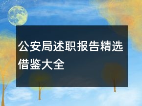 公安局述職報告精選借鑒大全