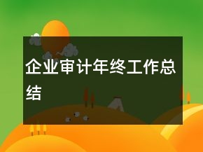 企業(yè)審計(jì)年終工作總結(jié)