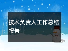 技術(shù)負(fù)責(zé)人工作總結(jié)報(bào)告