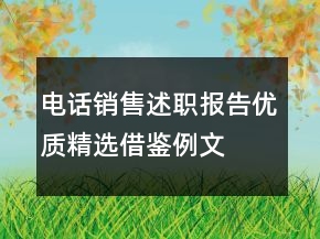 電話銷售述職報(bào)告優(yōu)質(zhì)精選借鑒例文