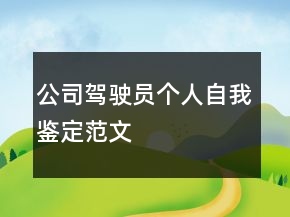 公司駕駛員個(gè)人自我鑒定范文