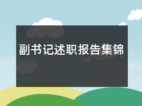 副書記述職報告集錦