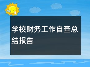 學(xué)校財務(wù)工作自查總結(jié)報告