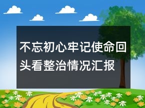 不忘初心牢記使命回頭看整治情況匯報精選
