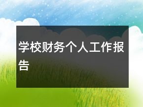 學(xué)校財(cái)務(wù)個(gè)人工作報(bào)告