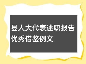 縣人大代表述職報告優(yōu)秀借鑒例文