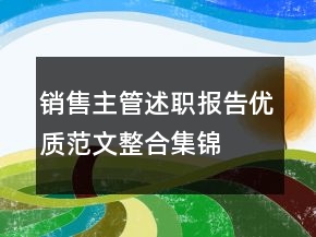 銷售主管述職報告優(yōu)質范文整合集錦