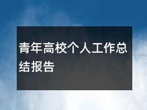 青年高校個(gè)人工作總結(jié)報(bào)告