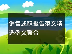 銷售述職報(bào)告范文精選例文整合
