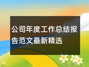 公司年度工作總結(jié)報告范文最新精選