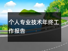 個(gè)人專業(yè)技術(shù)年終工作報(bào)告