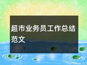 超市業(yè)務員工作總結范文